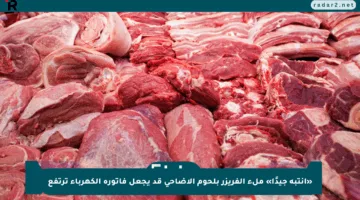 «انتبه جيدًا» ملء الفريزر بلحوم الأضاحي قد يجعل فاتورة الكهرباء ترتفع